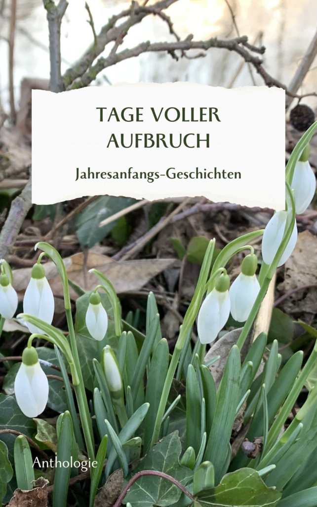 Dieses Bild hat ein leeres Alt-Attribut. Der Dateiname ist Aufbruch-Cover-1-642x1024.png