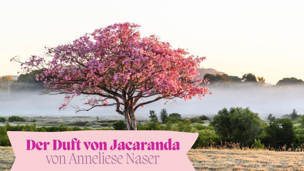 Ein dunkelrosafarbener Jacarandabaum