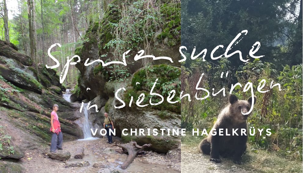 Spurensuche in Siebenbürge von Christine Hagelkrüys - Bild von einer Quelle in Siebenbürgen
